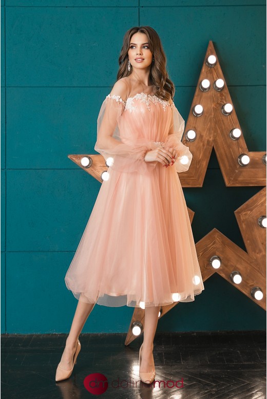 Evening dress midi from mesh Leslie DM-1045